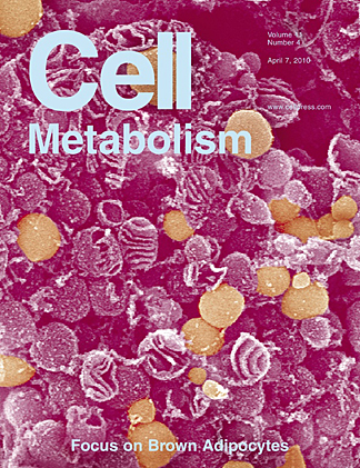 Dr. Jennifer Hill's study appears in the April 7 issue of Cell Metabolism.