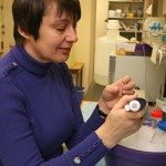 Dr. Maria Diakonova prepared DNA probes from human breast cancer cells. The probes are used for polymerase chain reaction to test the expression of proteins that regulate cell motility and invasiveness.