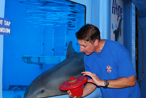 Tom Orr is seen here with a female dolphin calf named Hope, which Clearwater Marine Aquarium has been raising since the night the movie filming wrapped up. As a Florida newspaper put it, “One ‘Dolphin Tale’ ends and a new one begins.” 
