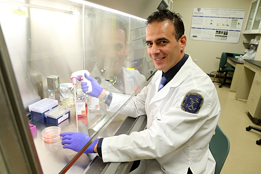 Dr. Wissam AbouAlaiwi performed experiments on cells from mice and humans with polycystic kidney disease to confirm studies performed on patients.