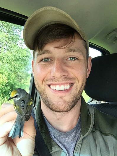 Gunnar Kramer held a golden-winged warbler, which carried a geolocator. Researchers attached the tiny backpack to the bird in 2015 and recovered it in 2016. The data on the geolocator will help Kramer understand the warbler’s migratory route and winter location.