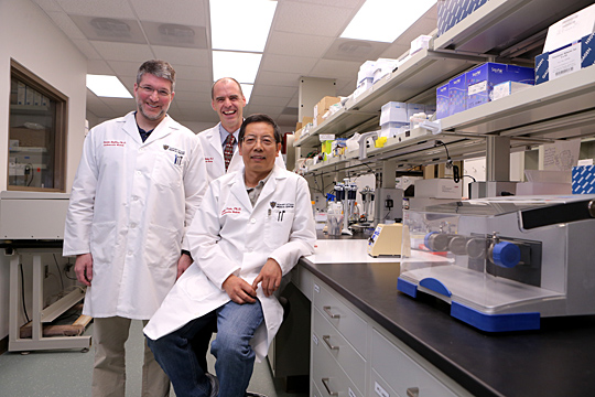 Dr. Steven Haller, left, Dr. David Kennedy, center, and Dr. Jiang Tian are examining the connection between the kidney and heart.