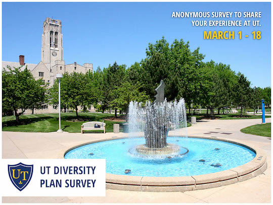 diversity survey