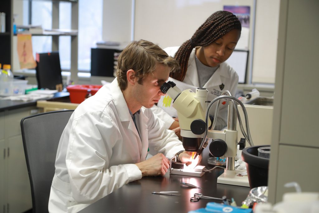 Cameron McCarthy and Jonnelle Edwards in lab