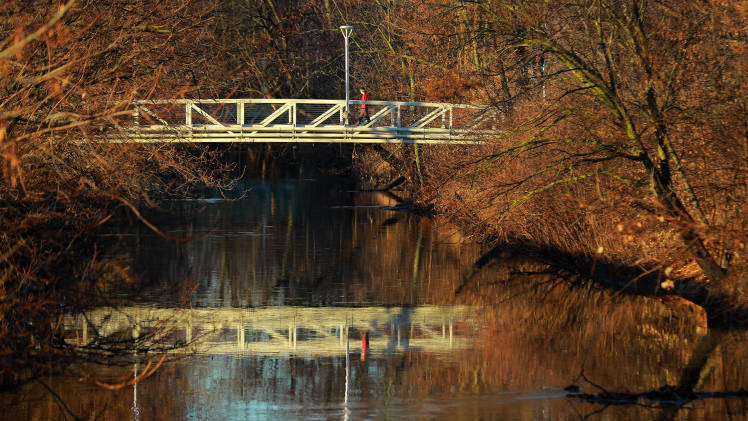fall-reflection-utoledo-news