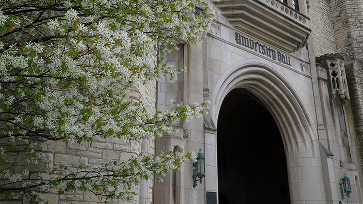University Hall entrance with blooming tree nearby