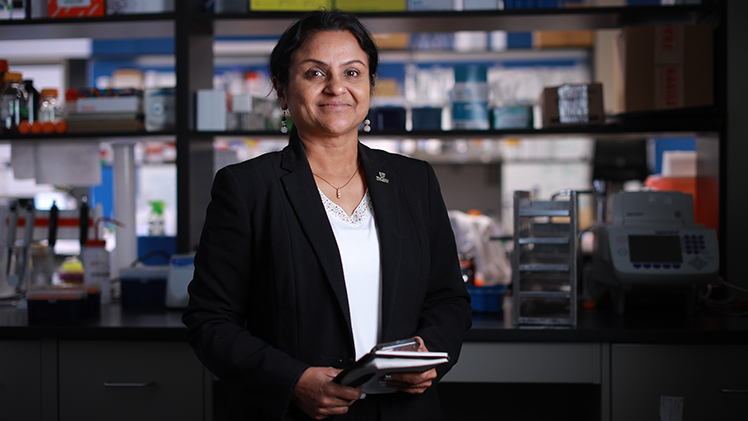 Dr. Bina Joe, a Distinguished University Professor and chair of the Department of Physiology and Pharmacology who has devoted much of her career to understanding the connection between gut bacteria and blood pressure regulation, recently published new research showing that it’s possible to treat hypertension using engineered bacteria.