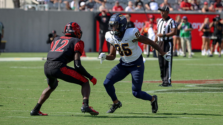 Rocket wide receiver Larry Stephens during a game against San Diego State.. 