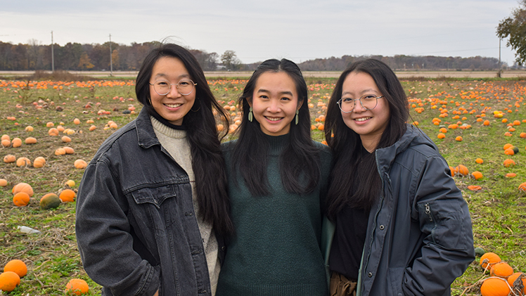 Posing for a photo in a pumpkin patch are sisters In the pumpkin patch photo, from left to right, Deborah Wong, Sophia Bender and Phoebe Wong.