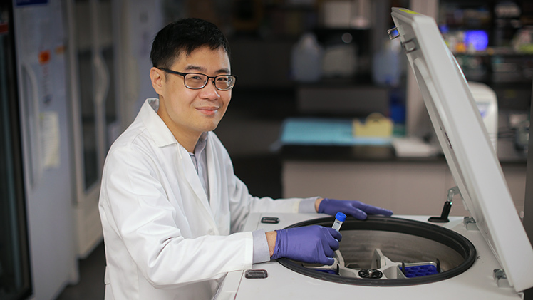 Feature photo of Dr. Beng San Yeoh, a postdoctoral fellow in the UToledo College of Medicine and Life Sciences.