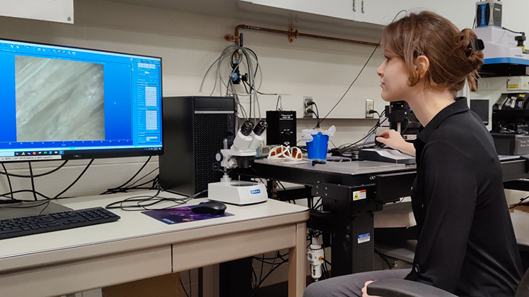 Hana El Sayed, a medical physics student, participated in a research experience for undergraduates funded by the National Science Foundation at the University of Illinois Urbana-Champaign.