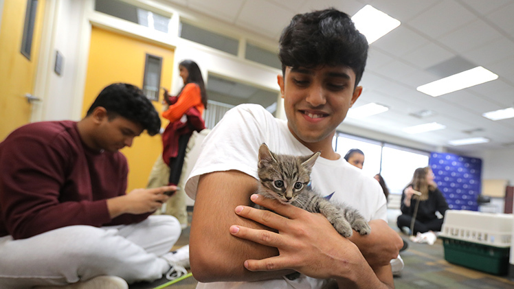 Zaid Siddiqui, a computer science and engineering freshman, enjoys time with a kitten during a recent Paws on Campus, Kitten Edition, event in Carlson Library and hosted by the Office of Student Involvement and Leadership.