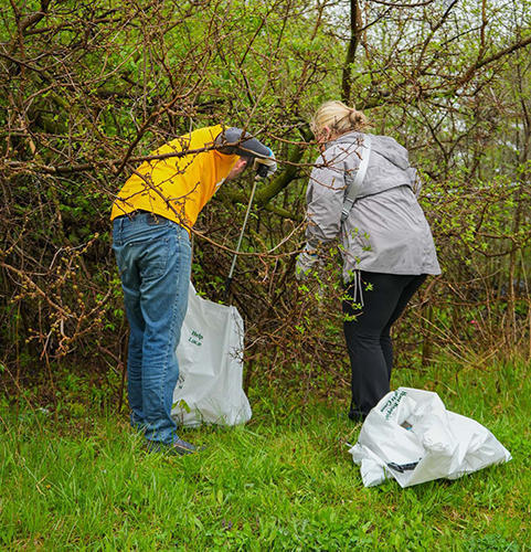 A man and a women from UToledo Athletics pick up trash in the brush in the Toledo community on 419 Day.