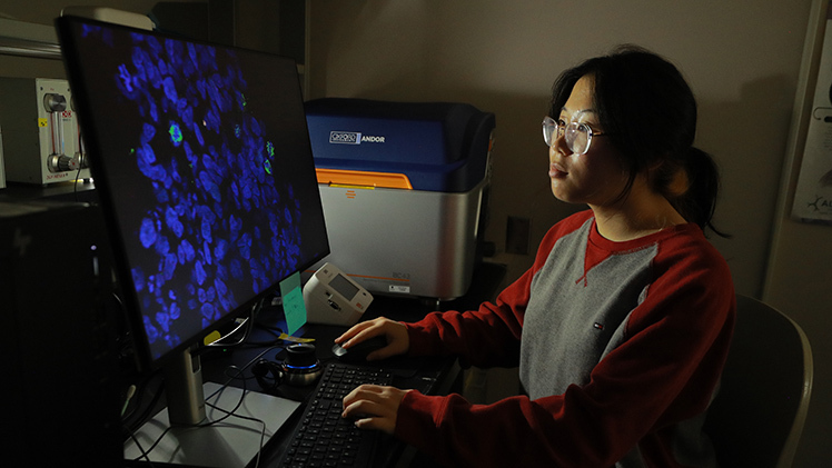 Annie Lei, a neuroscience sophomore, works at a computer as part of her research on a gene associated with autism spectrum disorders.