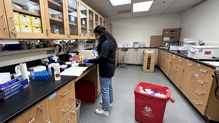 Read more about the article Neuroscience student uses UToledo programs to get ahead