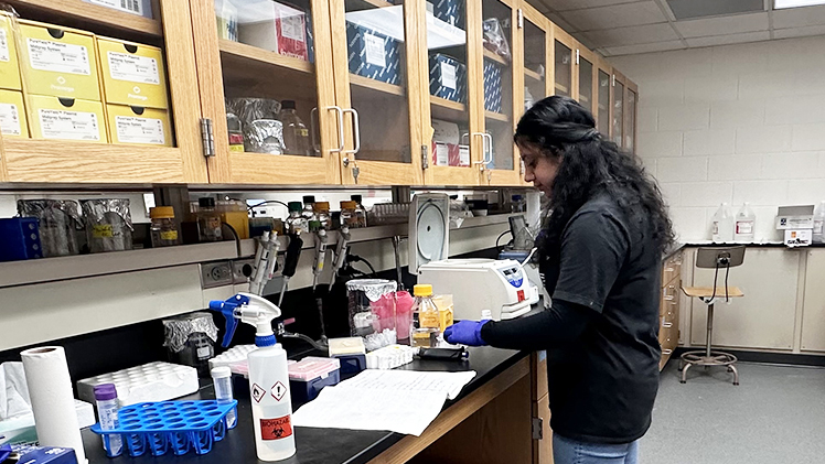 Anagaa Nathan, a junior studying neuroscience, conducts research in a research lab.