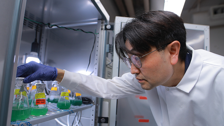 Dr. Youngwoo Seo, professor in The University of Toledo’s Departments of Civil and Environmental Engineering and Chemical Engineering, looks at a vial in a refrigerator in his research lab.