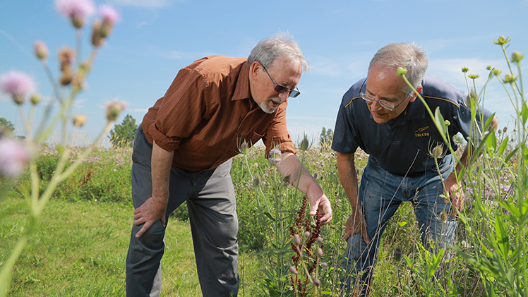 Dr. Daryl Dwyer, left, an associate professor in the Department of Environmental Sciences, and Dr. Kevin Czajkowski, a Distinguished University Professor in the Department of Geography and Planning, are among the UToledo researchers advancing land management strategies to prevent harmful algal blooms.