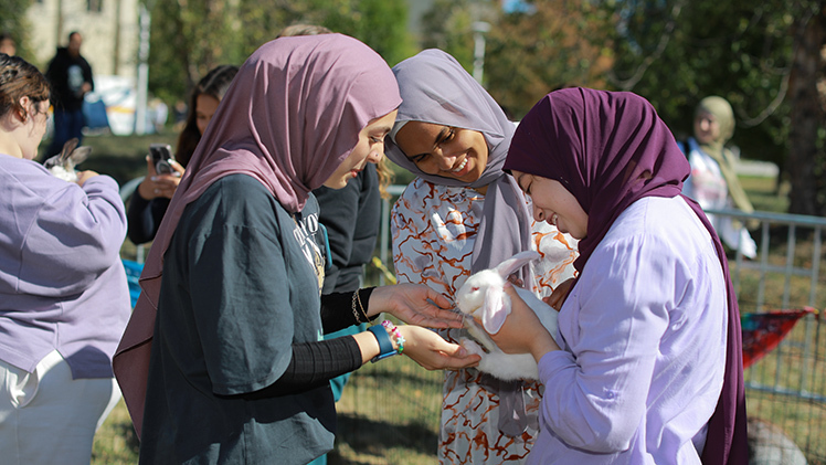 Zeren Karatas, a freshman studying biology, from left, Rawa Abdalbagi, a junior studying biomedical engineering, and Man Bar, a freshman studying exercise science, take turns petting a rabbit at Wednesday’s CAP Petting Zoo on Memorial Field House lawn.