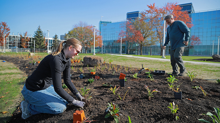 Emma Heslop, an environmental studies senior, and Dr. Todd Crail, a Distinguished University Lecturer in the Department of Environmental Sciences, plant native species in prepared beds on the new engineering quad in front of Nitschke Hall.