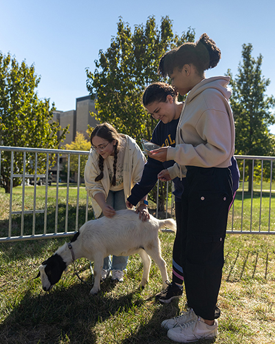 3 female UToledo students pet a goat at Wednesday’s CAP Petting Zoo on Memorial Field House lawn.