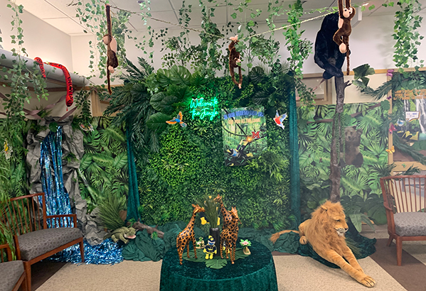 A photo of the jungle theme decorated office of the Judith Herb College of Education Office of the Dean/Office of Student Services, which won first-place honors in the Homecoming Office Decorating Competition for 2024.