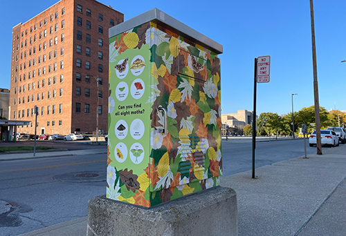 A signal box wrap designed by Jamie Lefevre, program coordinator in the Honors College, also is on display in downtown at the intersection of North Ontario Street and Madison Avenue.