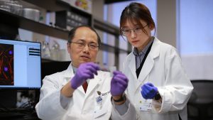 Kidney Researcher Studies New Approach to Treat Common Disease Kidney Researcher Studies New Approach to Treat Common Disease