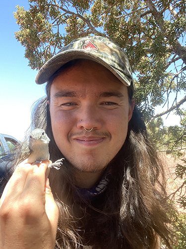 Silas Fischer, a doctoral student studying ecology and organismal biology, holds a gray vireo, a bird native to the southwestern United States and northern Mexico that he is studying.
