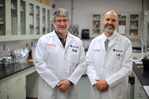 Dr. Steven Haller, left, an associate professor of medicine, and Dr. David Kennedy, a professor of medicine, recently published their findings that aerosolized nanoplastics can cause a dysregulated immune response in human lungs.