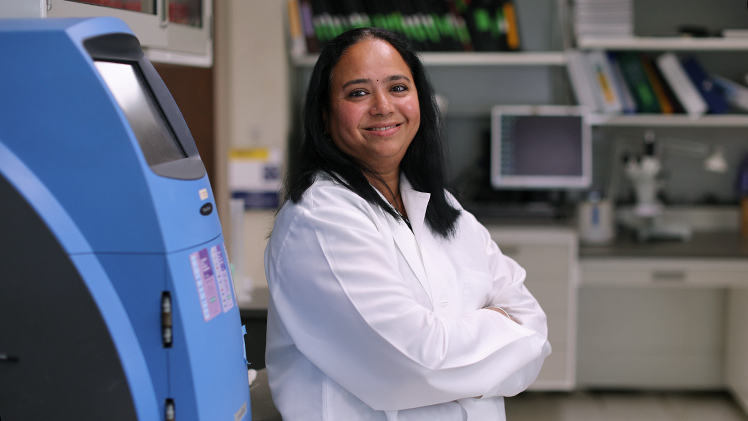 Portrait of Dr. Sailaja Paruchuri, a professor in the Department of Physiology and Pharmacology.