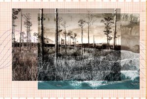 "Two Trees Marigram," a digital collage by Margaret LeJeune, shows trees, waves and graph paper.