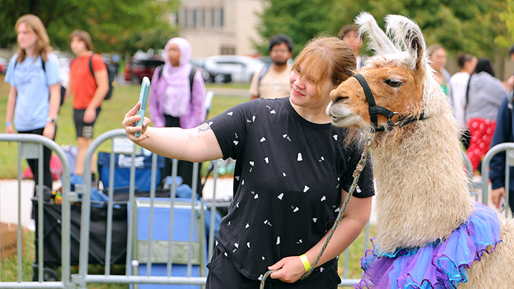 Olivia Wheeler, a sophomore in communication, takes a selfie with a llama.