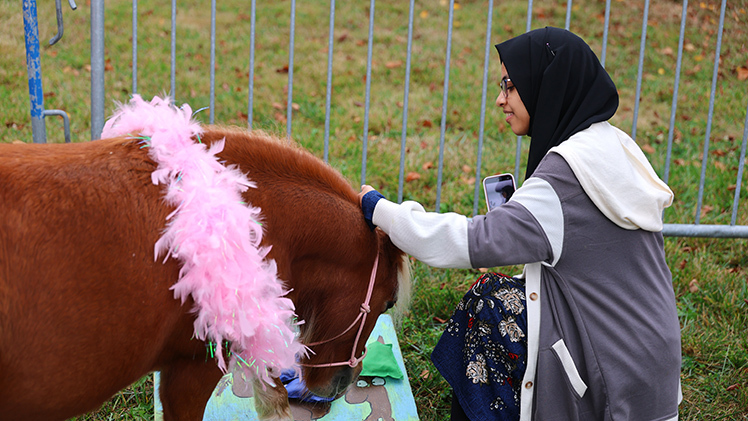 Kulsum Mohammed, a freshman studying marketing, pets a pony at the CAP Petting Zoo on Thursday at the Memorial Field House lawn.