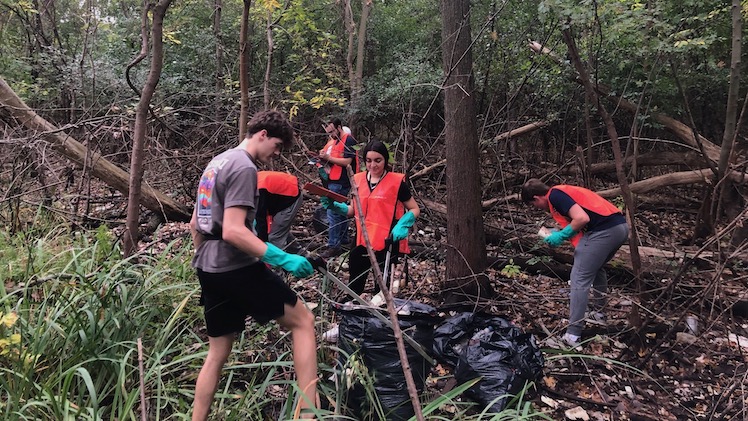 Several volunteers from UToledo, many wearing orange vests, pick up trash during the 2024 Clean Your Streams event.
