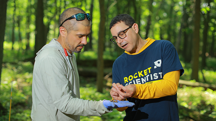 Drs. Fausto Silva and Michael Weintraub check out a root collected from a soil sample at the Ottawa National Wildlife Refuge in June. Silva is a research assistant professor and Weintraub is professor in the Department of Environmental Sciences.
