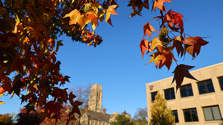 With Thanksgiving less than a week away and the chill of winter already here, we look back to earlier in November when University Photographer Dan Miller captured Main Campus in full autumnal bloom on a sunny and warm fall day.
