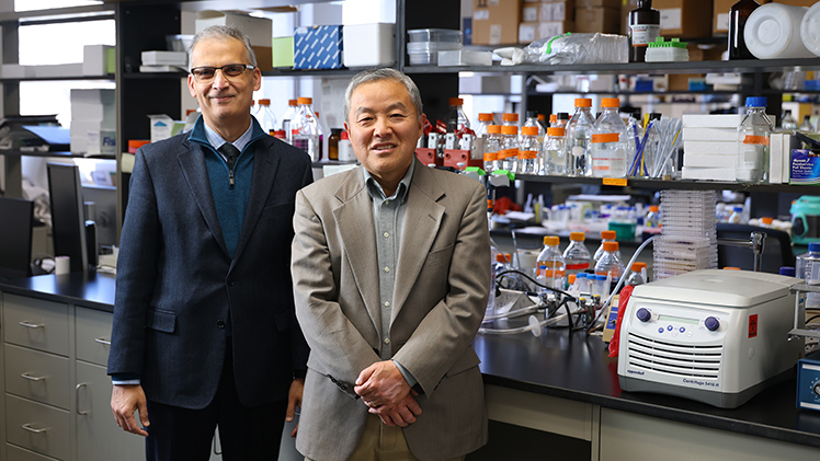 Dr. Imran Ali, left, is dean of the College of Medicine and Life Sciences, while Dr. Jian-Ting Zhang, right, is a professor in UToledo’s College of Medicine and Life Sciences and the inaugural director of the Northwest Ohio Cancer Research Institute.