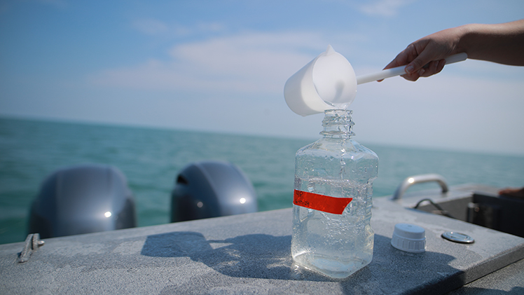 The Ohio Department of Higher Education’s Harmful Algal Bloom Research Initiative (HABRI) is co-led by UToledo and Ohio State University and managed by Ohio Sea Grant.