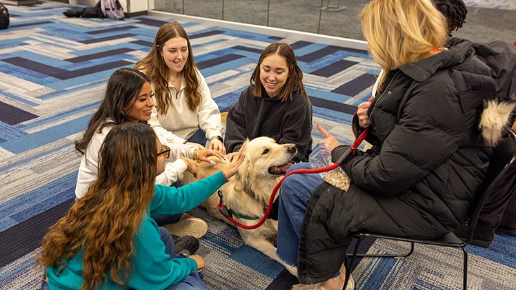 Students gather round to pet Queso, who sits calmly waiting for his owner to give him a treat, during the PAWs on Campus event on Tuesday afternoon in Carlson Library.