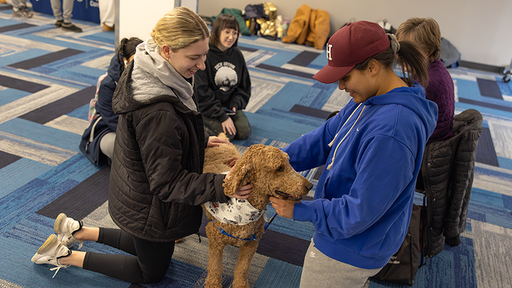 Maddy Tomaszewski, left, a senior in recreational therapy, and Makayla Roberts, a senior in finance, give Nimrod plenty of attention during Tuesday’s PAWS on Campus.