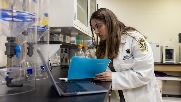 Photo of Mina Nooralden, an honors sophomore in pharmacy with a minor in chemistry, working in a research lab.