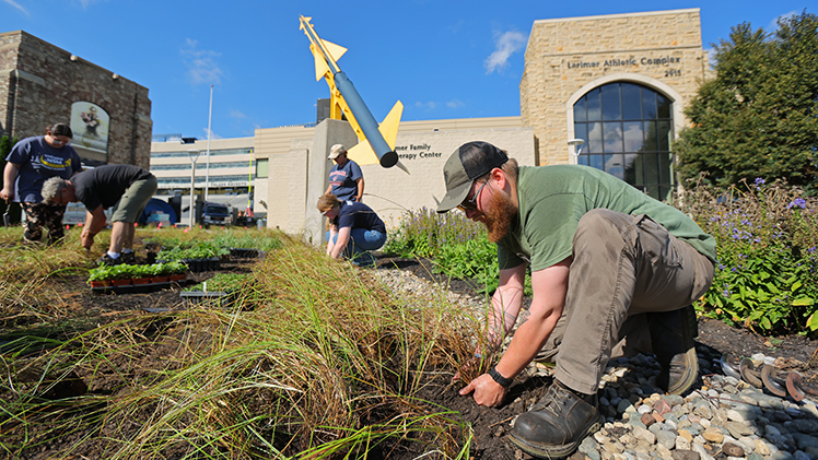 Will Reeves, freshman majoring in environmental science, plants a native plant outside of Glass Bowl Stadium as part of the GUTS project.