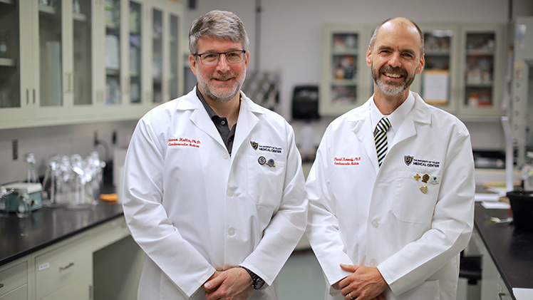 Dr. Steven Haller, professor of medicine and director of the Jacobson Center for Clinical and Translational Research, left, and Dr. David Kennedy, professor of medicine and senior director of the Medical Student Research Program.
