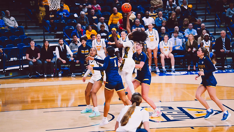 Photo of UToledo women's basketball game.